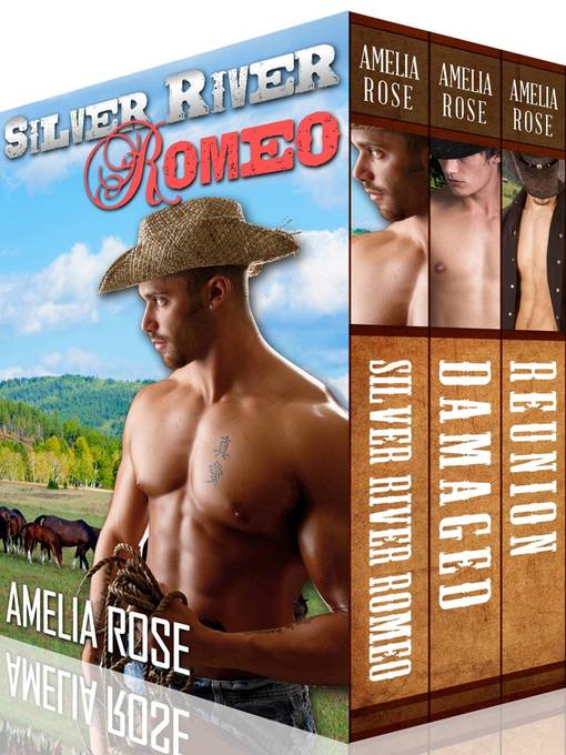 Title details for Rancher Romance Trilogy Box Set by Amelia Rose - Available